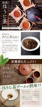 ティーライフ 国産ほうじ茶 50個入