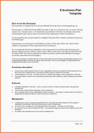 Business Plan Template Inancial Advisor New Marketing Report