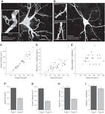 Includes navigation, registration, quizzes, exams. Toric Spines At A Site Of Learning Eneuro