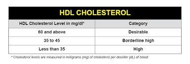 Cholesterol Charts Explaining Your Cholesterol Levels