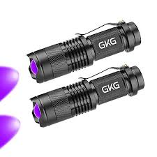 2pack Flashlight Black Light Torch Gkg Buy Online In Fiji At Desertcart