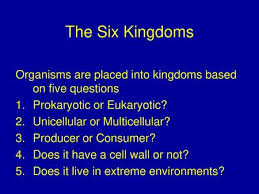Is elodea eukaryotic or prokaryotic. Organism 1 Elodea Elodea Canadensis Domain Eukarya Kingdom Plantae Characteristics Shared By All Organisms Within Plantae Plants Eukaryotes Photosynthesis Ppt Download