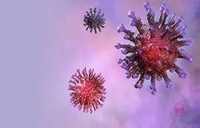 Jun 24, 2021 · latin america coronavirus lambda variant spreads across latin america. The Lambda Lineage Facts On The New Strain Of Sars Cov 2 Virus