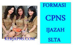 Pengumuamn formasi cpns bpip 2018, petunjuk cara daftar cpns bpip 2018, cara daftar cpns. Inilah Formasi Cpns Untuk Lulusan Sma
