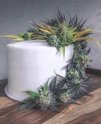 Wedding cake, sometimes known as pink cookies or birthday cake, is a strain that leans on some very popular genetics to yield a balanced high and a dynamic taste. Strain Profile Wedding Cake Greenway Magazine