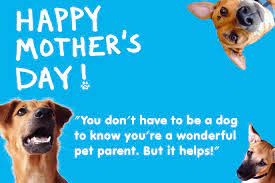 A time for sunday brunch, homemade macaroni bracelets, endless greeting cards, and. Happy Mother S Day To All You Fabulous Dog Mums