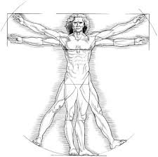 Résultat de recherche d'images pour "vitruvian man"
