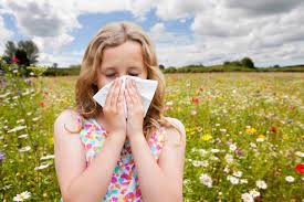 When Is Grass Pollen Season In The Uk And When Does It End