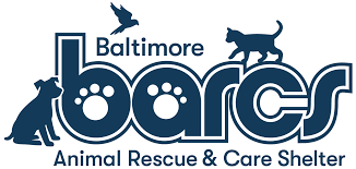 While she helps apollo bring the grove alive, she severs their bonding spell and leaves. Animal Nonprofit Car Donations