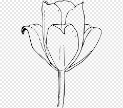 Hitam putih fotomu karaoke nostalgia ratih purwasih ll nada wanita cis=do. Buku Mewarnai Garis Gambar Seni Desain Bunga Tulip Tulip Putih Anak Daun Png Pngwing