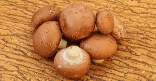 Slime is a sign of decomposition. Do Mushrooms Go Bad And How To Tell For Sure Fitibility