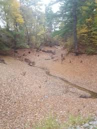 Nature 1 10312016 Nature Country Roads Photo