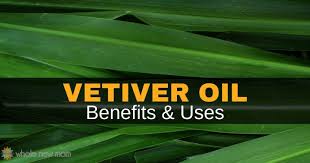 Essential oil is the concentrated liquid that is extracted from a plant that contains some volatile. Vetiver Essential Oil Benefits Uses You Ll Be Amazed Whole New Mom