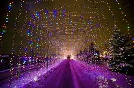 Pin By Silvia Hdez On I Love Purple Christmas Light Displays Holiday Lights Best Christmas Light Displays