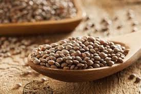 Les Lentilles Contre La Pilosite Aliments Riches En Fer Alimentation Lentilles