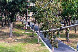 You are trapped in a magic forest and can't go back. Forest Adventure 3 Hours Of Fun In Singapore S Iconic Treetop Obstacle Course