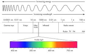Diagram Of Light Get Rid Of Wiring Diagram Problem