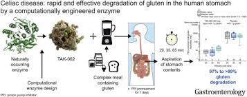 Gluten Degradation Pharmacokinetics Safety And Tolerability Of Tak 062 An Engineered Enzyme To Treat Celiac Disease Sciencedirect