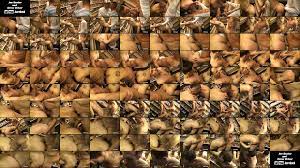 Public bare bang in sexshop. Bareback Fucking In Sexshop Xvideos Com