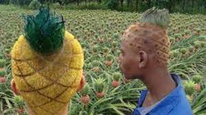 die sind echt der hammer frisuren lol lustig lustigebilder lustigevideos totallustig totalwitzig ungalublic frisuren mode frisuren lustige videos