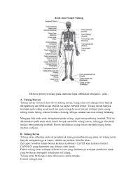 10 fungsi tulang paha pada tubuh manusia. Doc Jenis Dan Fungsi Tulang Irul Rebels Academia Edu