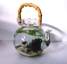 Aquarium unik dari jam rusak. 14 Desain Aquarium Unik Dan Cara Membuatnya Inreview Id