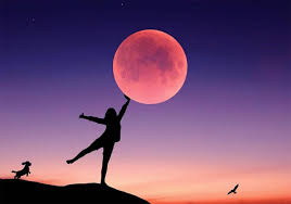 The witch of painted sorrows (daughters of la lune #1), the secret language of stones (daughters of la lune #2), and the library of light and shadow (da. Ngzlezwb1gyt6m