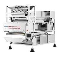 Deep Learning Optical Sorter for Blueberry