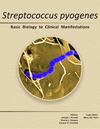 Image result for Streptococcus