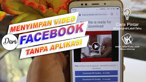 Cara like fb banyak tanpa aplikasi. Cara Menyimpan Video Dari Fb Ke Galeri Hp Tanpa Aplikasi Jalankutu Com