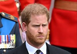 Prince Harry 'felt less important because William got more sausages'