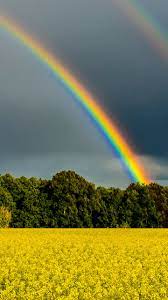 Лампа настольная regenbogen 497032401 хоф. Warum Menschen Nie Denselben Regenbogen Sehen The Weather Channel Artikel Von The Weather Channel Weather Com