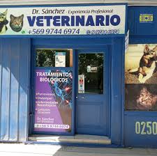 Centro Veterinario Dr. Sanchez