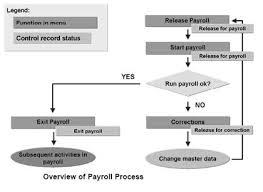 overview of payroll process in sap sapspot