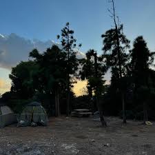 Yair Gad Levy (@onetruegad) • Threads, Say more