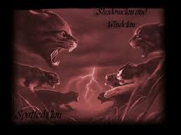 Jan 23 2020 explore oriondurbin26s. Free Download Warrior Cats Wallpapers Warrior Cat Fight Wallpaper 1022x766 For Your Desktop Mobile Tablet Explore 48 Warrior Cats Wallpaper Golden State Warriors Wallpaper