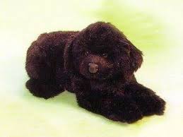 World S Largest Source Of Luxury Handmade Dogs Large Plush Stuffed Animals Animals Dogs