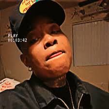 Adopting a Maine Coon Kitten as a Companion