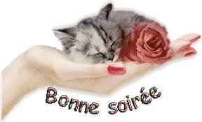 Résultat de recherche d'images pour "gifs bonne fin d'après midi"