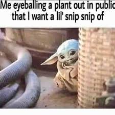 I Can T Be The Only Right Gardening Garden Diy Home Flowers Roses Nature Landscaping Horticulture Stupid Funny Memes Gardening Memes Funny Memes