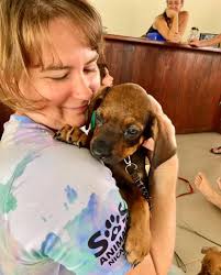 🐾🩵 VOLUNTEERS NEEDED! 🩵🐾