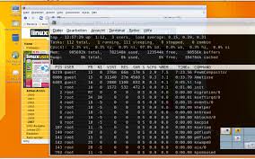 Image result for metisse mandriva