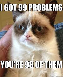 I Got 99 Problems You Re 98 Of Them Grumpy Cat Quickmeme