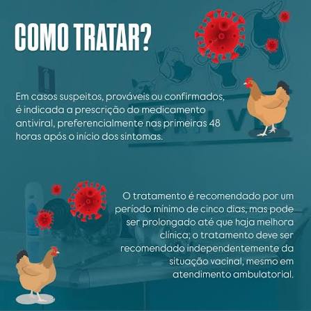 POST INFORMATIVO 🚨 O assunto gripe aviaria vem tomando conta das nossas redes nos últimos dias, né!? Para você não ficar perdido e se interar mais sobre o tema, aqui vai uma