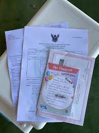 Besides the main purpose of the card as a validation tool and proof of citizenship other than the birth certificate, mykad may also serve as a valid driver's license. Pet Town Relocations Relocationtown Twitter