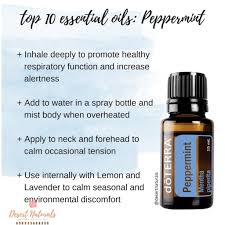 Doterra essential oils recipes for healthier living. Peppermint 15ml Doterra Essential Oil Kualitas Di Atas Young Living Shopee Indonesia