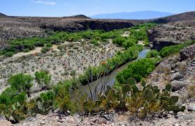 Gila box riparian national conservation area. Gila Box River Trail Az Hikearizona