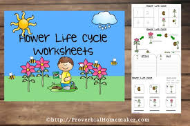Children will practice colors yellow, orange, green, brown and blue. Free Flower Life Cycle Printables Proverbial Homemaker