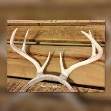 Diy Deer Antler Headband Horns Hat Crown Headdress Etsy Antler Headband Halloween Costumes Diy Couples Diy Deer Antlers Headband