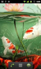 Wallpaper Koi Kolam Hidup For Android Apk Download
